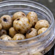 خرید تایگر نات کرم مانچ بیتس (Munch Baits Cream Tigers) از موکا فیشینگ