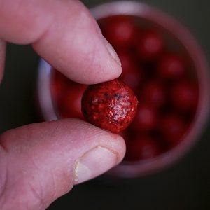 بویله مانچ بیت Red Fruit Boosted Hookbaits
