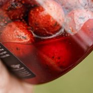 بویله مانچ بیت King Crab Boosted Hookbaits