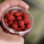 بویله وفتر مانچ بیت King Crab Matching Wafters