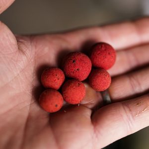 بویله وفتر مانچ بیت King Crab Matching Wafters