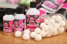 بویله خانگی یا بویله آماده؛ کدام گزینه برای صید کپور عملکرد بهتری دارد؟