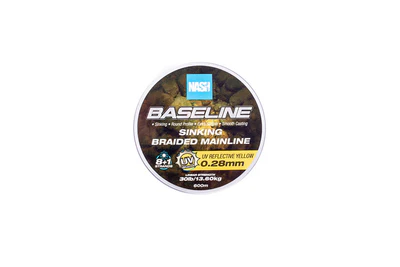 Baseline-Braid13